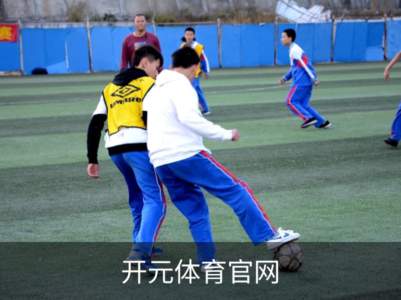 开元体育官网概况